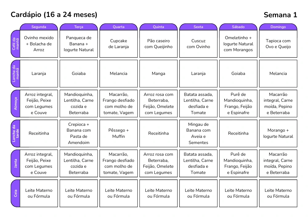 S.O.S Introdução Alimentar - 16 a 24 meses