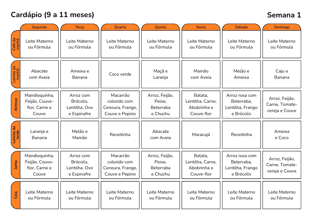 S.O.S Introdução Alimentar - 9 a 11 meses